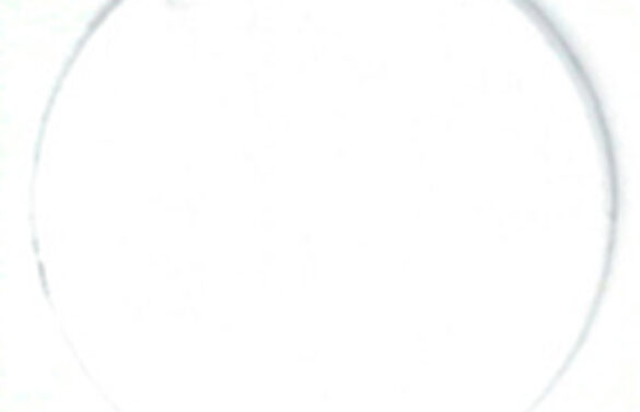 13250098