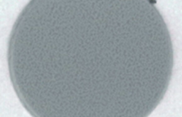 13250103