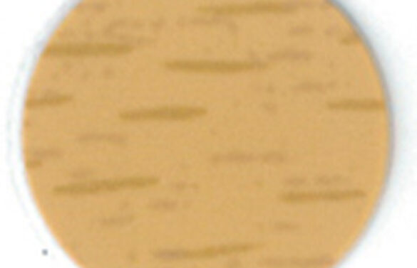 13250119