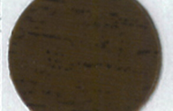 13250132