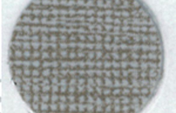 13250161