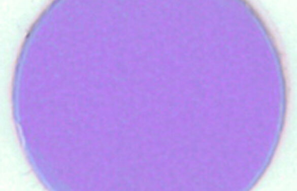 13250179