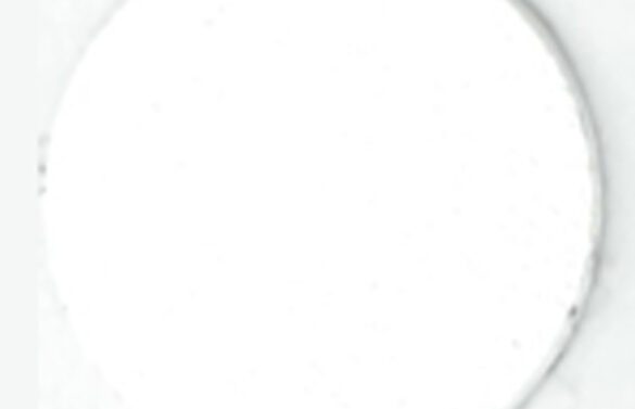 13250194