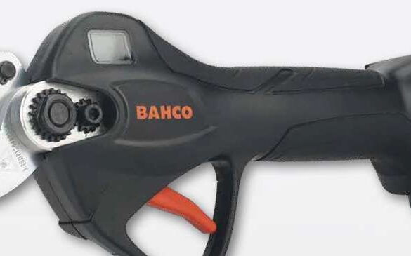 BCL25